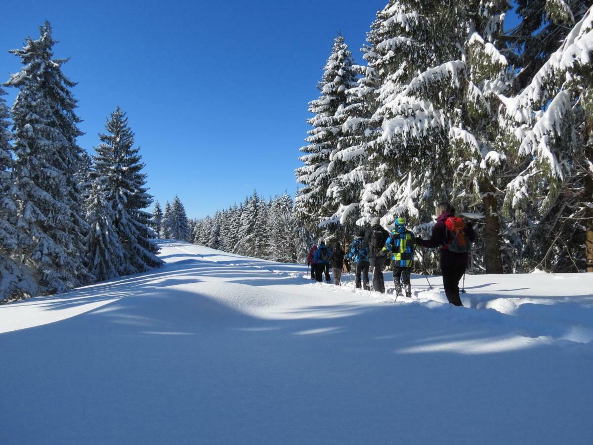 Schoene Einzimmer Wohnung Zwischen Bodensee Und Allgaeu 노이킬흐 외부 사진